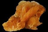 Selenite Crystal Cluster (Fluorescent) - Peru #102161-2